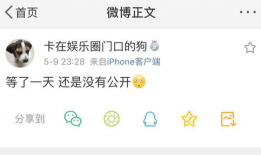 吃瓜爆料号有哪些,揭秘热门爆料号背后的故事